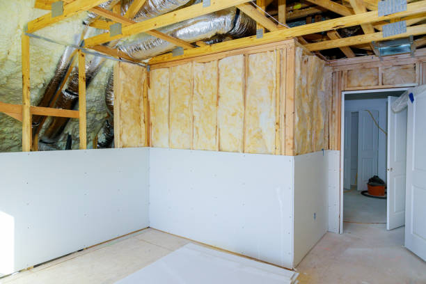 Best Eco-Friendly Insulation in Buna, TX