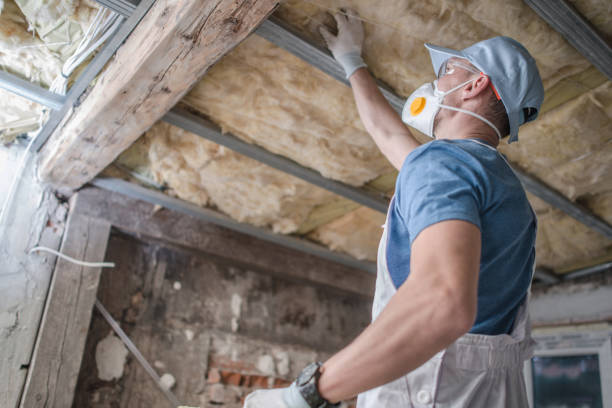 Best Geographic-Specific Insulation Services in Buna, TX